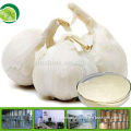 Pharmaceutical allicin powder garlic extract allicin